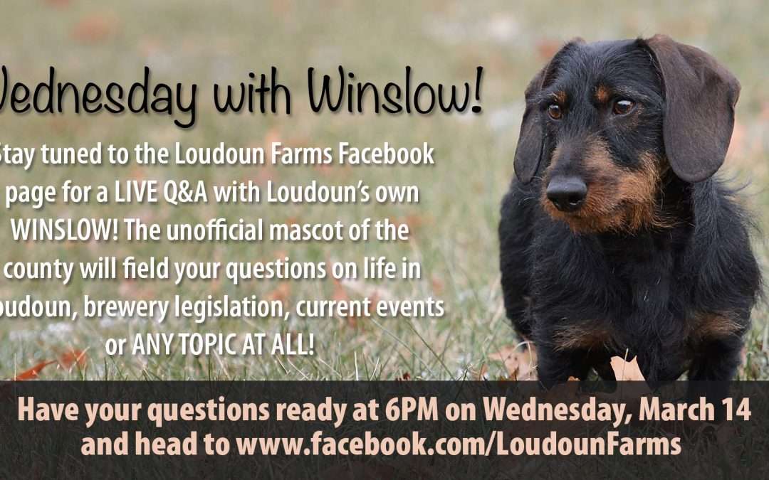 Wednesday With Winslow; A Facebook Interview