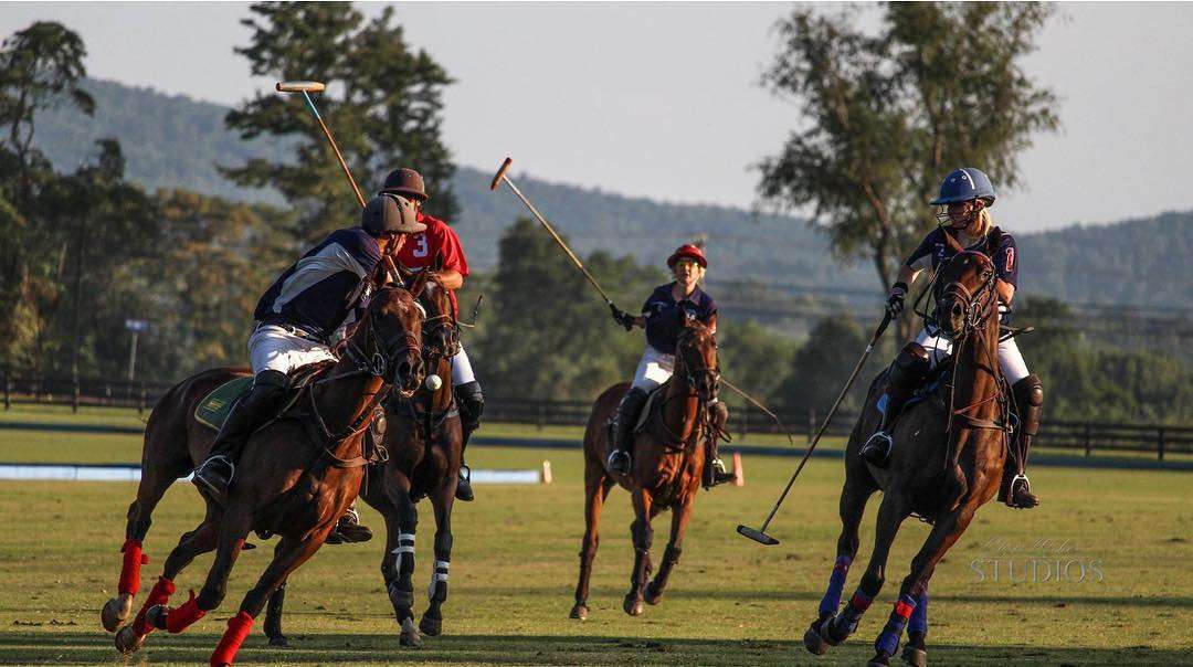 Sunday Polo at Banbury Cross Polo Club