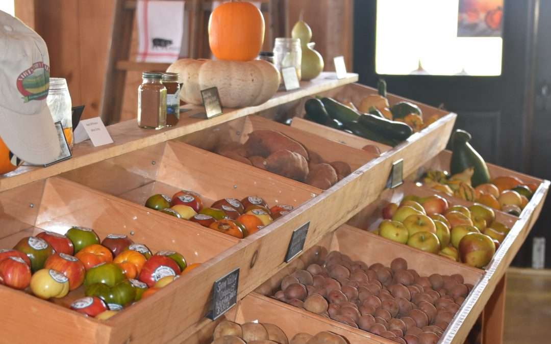 Celebrate Harvest Season at Loudoun Farms