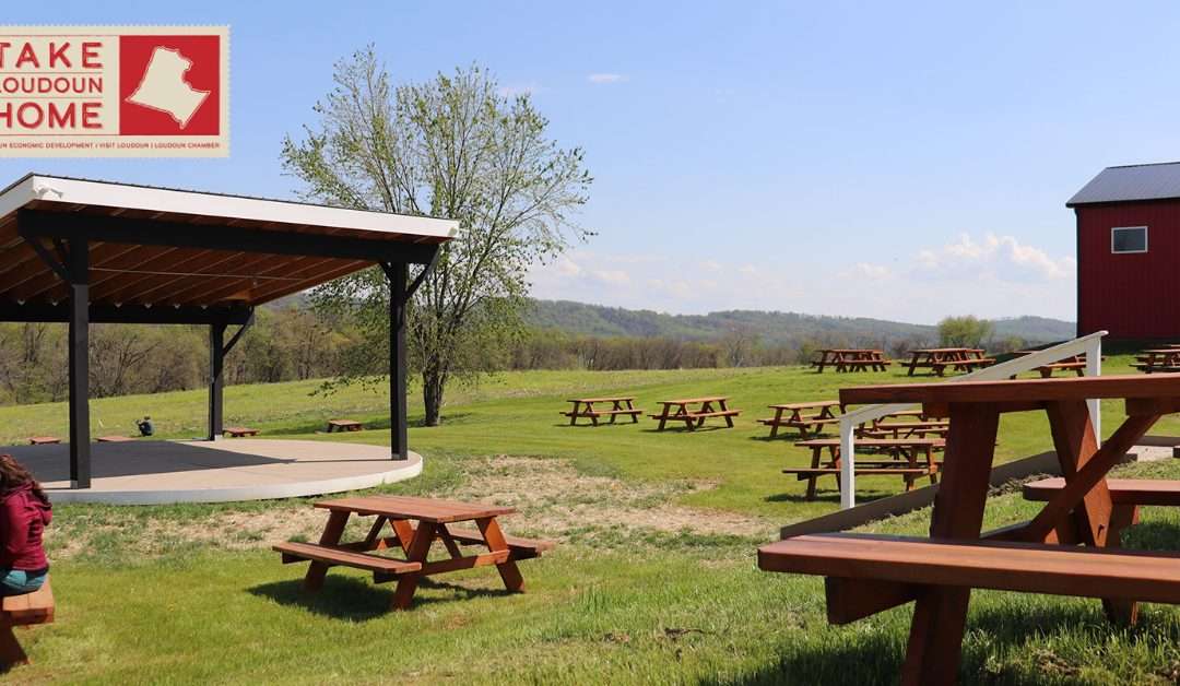 Flying Ace Launches Virginia’s First Farm Brewery, Distillery and Restaurant