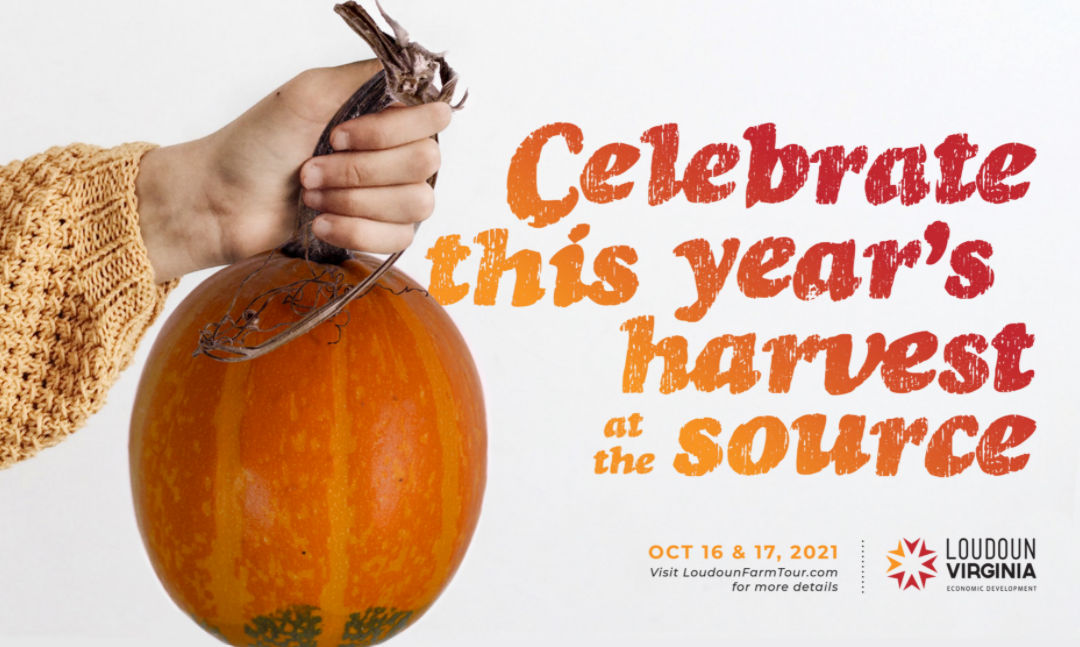 Celebrate_Harvest_At_Source Fall Farm Tour