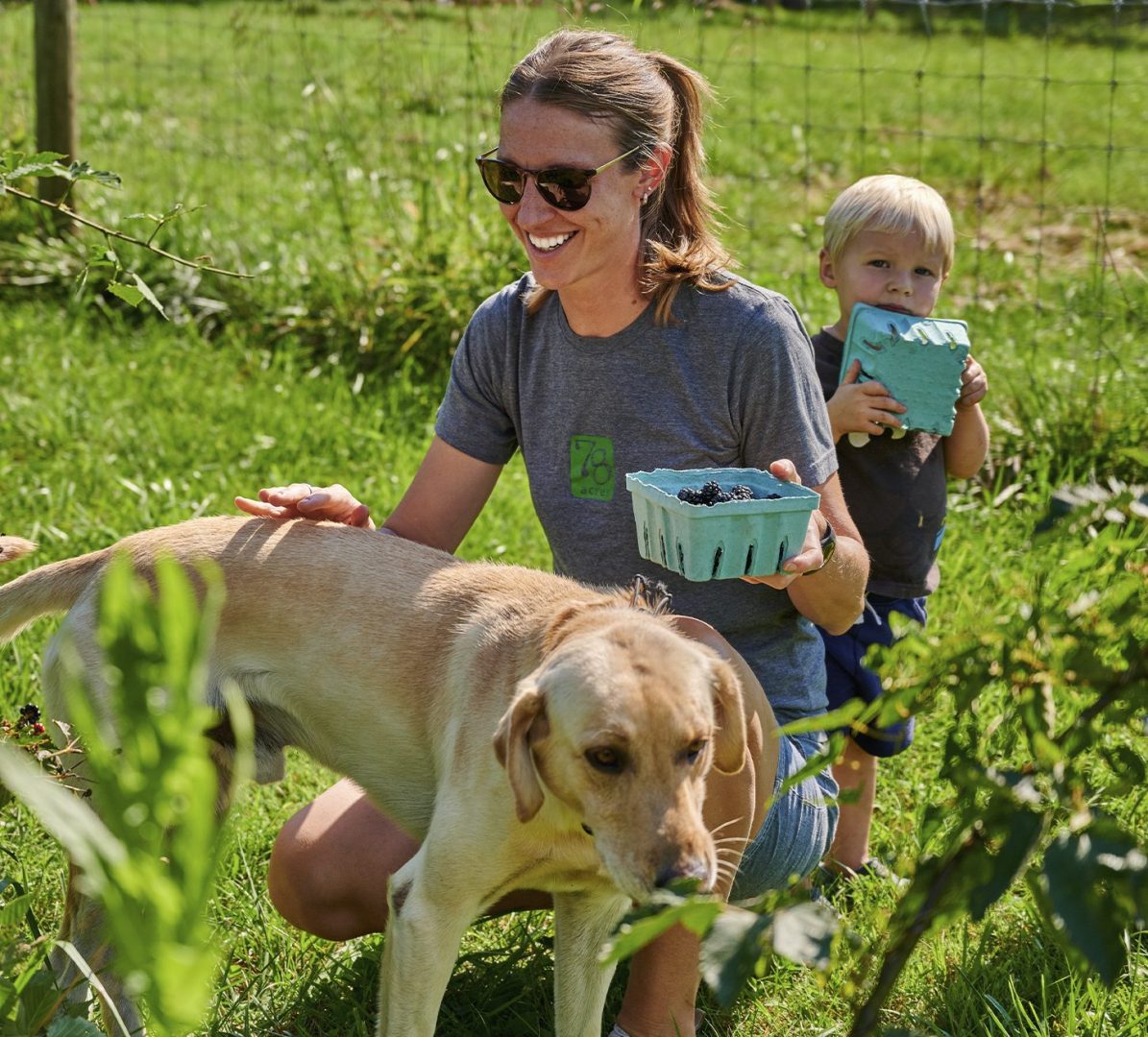 farm tourism logo