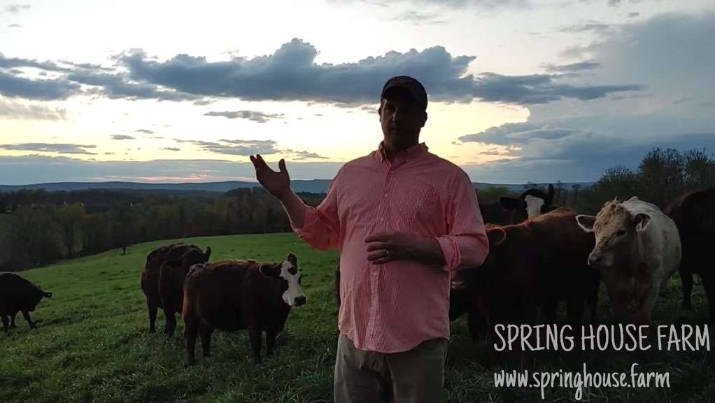 #LoudounPossible Success Story: Spring House Farm