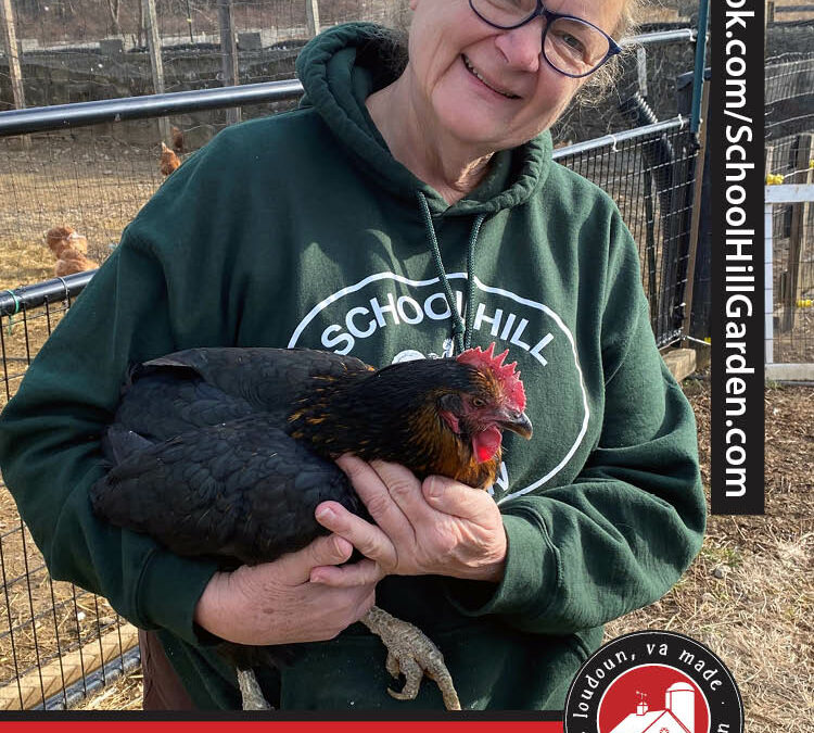 Meet Farmer Terri T. From School Hill Garden and Tiny Acre Farm